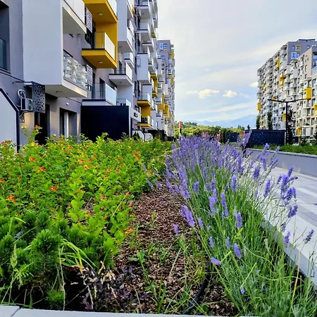 E N A East Gate Living Apartment
